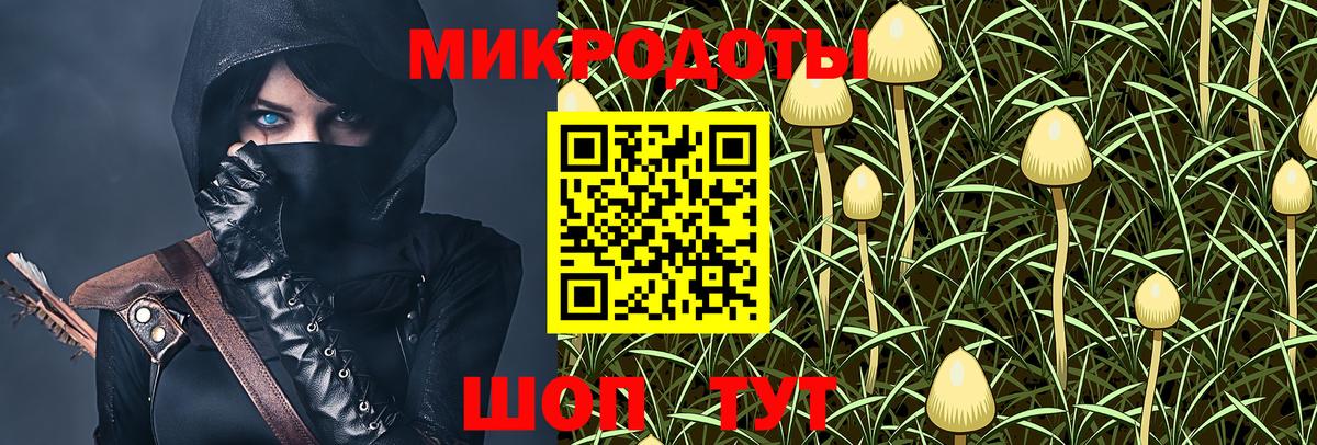 Псилоцибиновые грибы мицелий Аргун