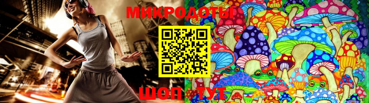 Галлюциногенные грибы Psilocybine cubensis  Вход с VPN  Аргун 